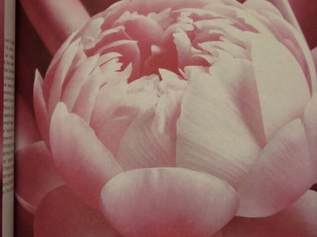 Portfolio2